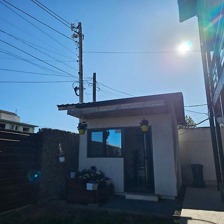 Vila Natalia ヴァマ・ヴェケ エクステリア 写真